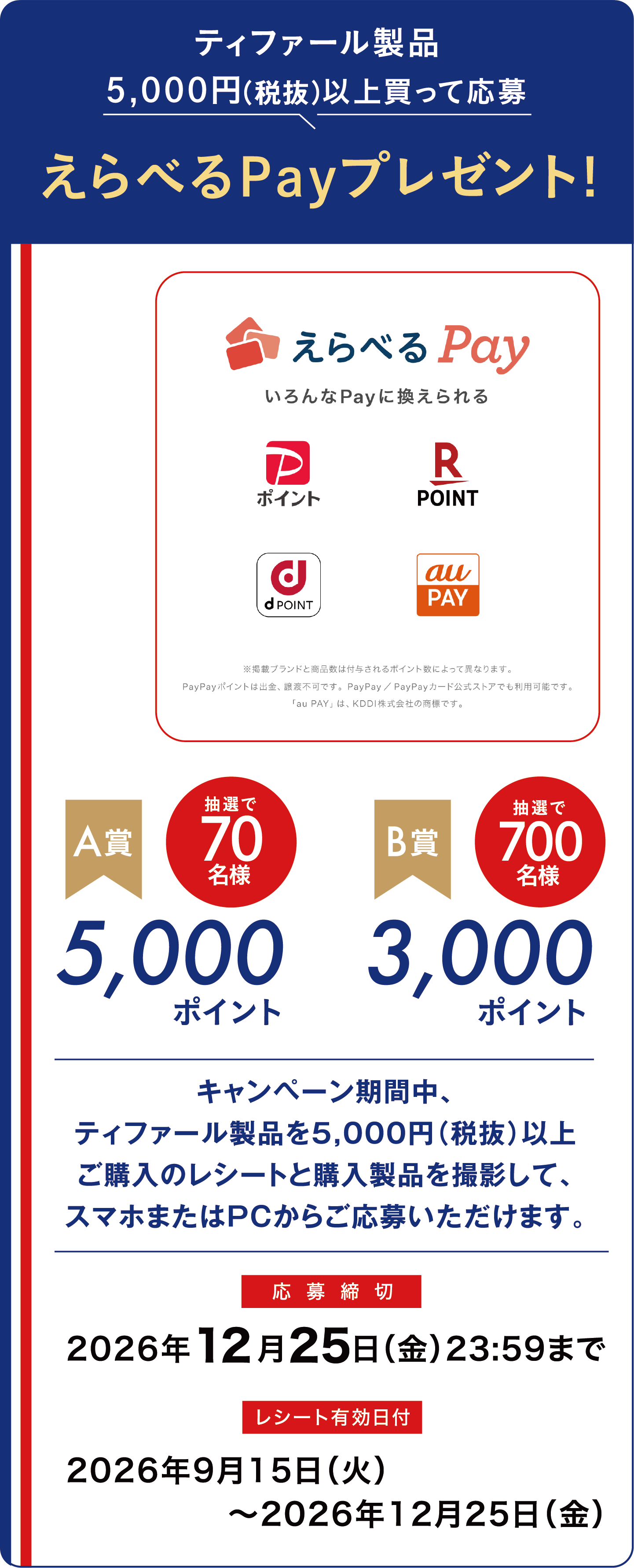 えらべるPay（レシート応募）詳細