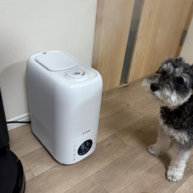 加熱超音波式加湿器 スチーム アンド ミスト L 8L