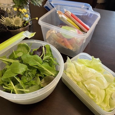 マスターシール フレッシュ MW /マスターシール トゥ ゴー サラダボウル