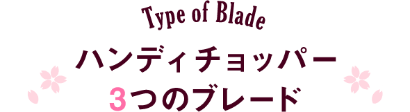 Type of Blade マルチみじん切り器「ハンディチョッパー」3つのブレード
