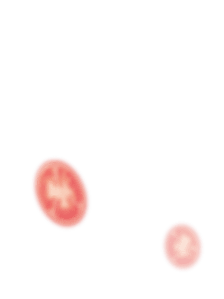 トマトのイメージ
